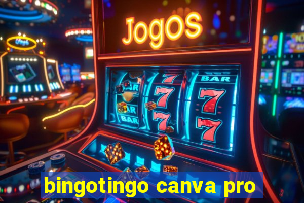 bingotingo canva pro